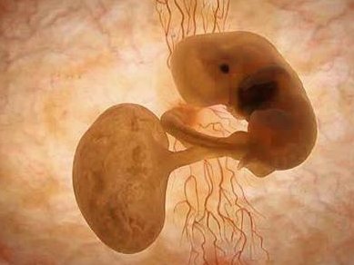 温州比较大的助孕机构有哪些？专业三代试管婴儿助孕咨询服务机构