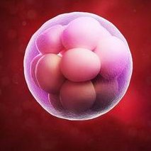 武汉试管婴儿三代费用大概是多少钱？因素有哪些？