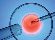 南京第三代试管婴儿多少钱？预算为20万元