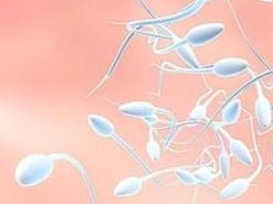 哪家安徽试管婴儿医院好